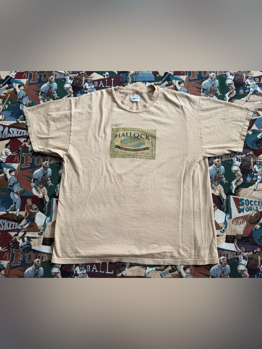 Vintage 90s Men’s Hanes Heavyweight Hallock Minnesota Brown Graphic T-shirt